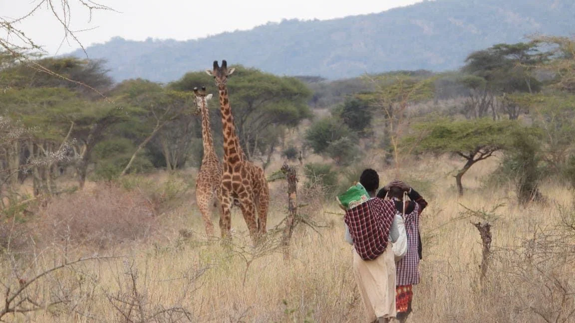 Community living alongside wildlife